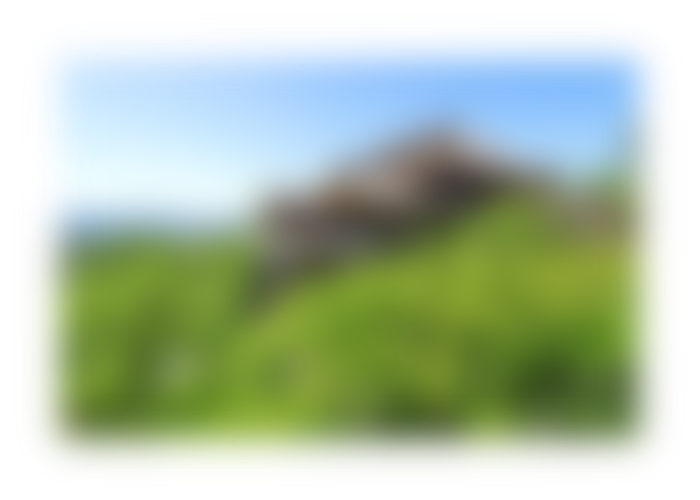 blur image