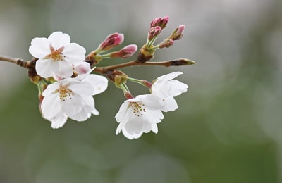 姥ヶ懐川橋梁